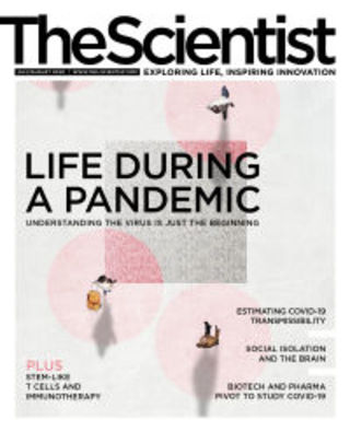 社交孤立會使大腦認知功能下降 (科學人The Scientist)　　　　