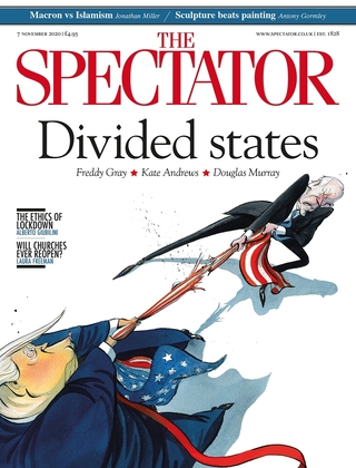 拜登如何面對分裂的美國？（觀察者The Spectator）