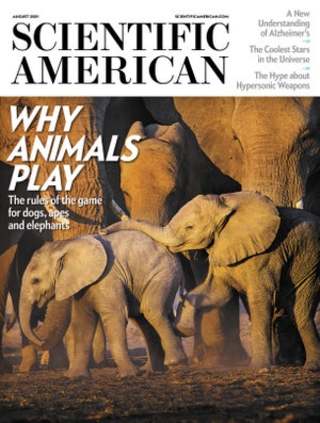 透過遊戲學習社交 可緩解家庭關係（科學人 Scientific American）
